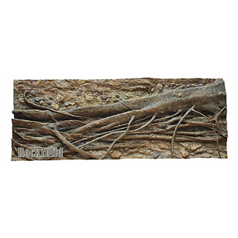Rockzolid Riverside roots